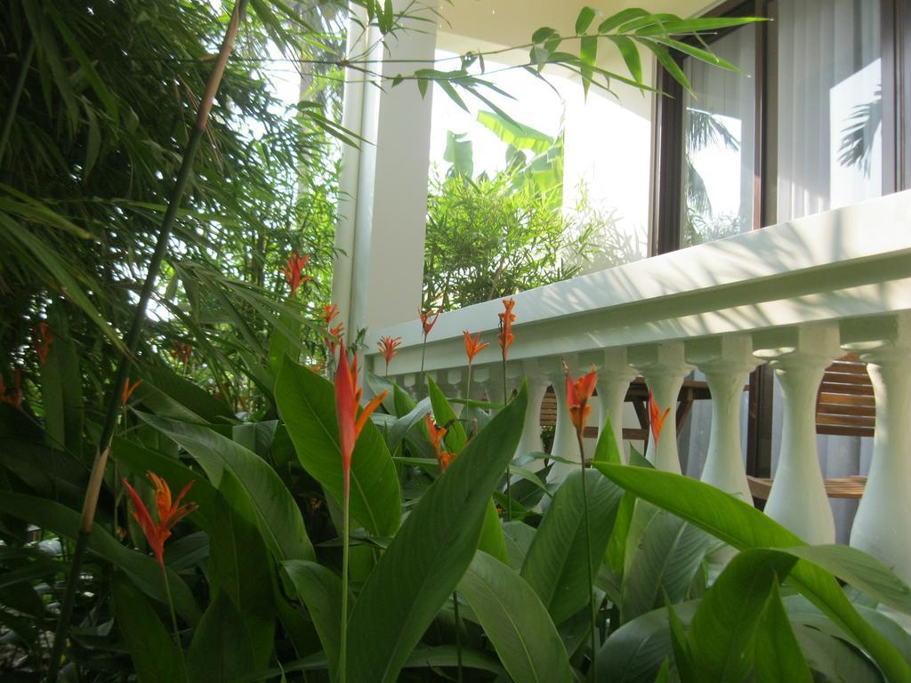 Palm View Villa Хой Ан Екстериор снимка