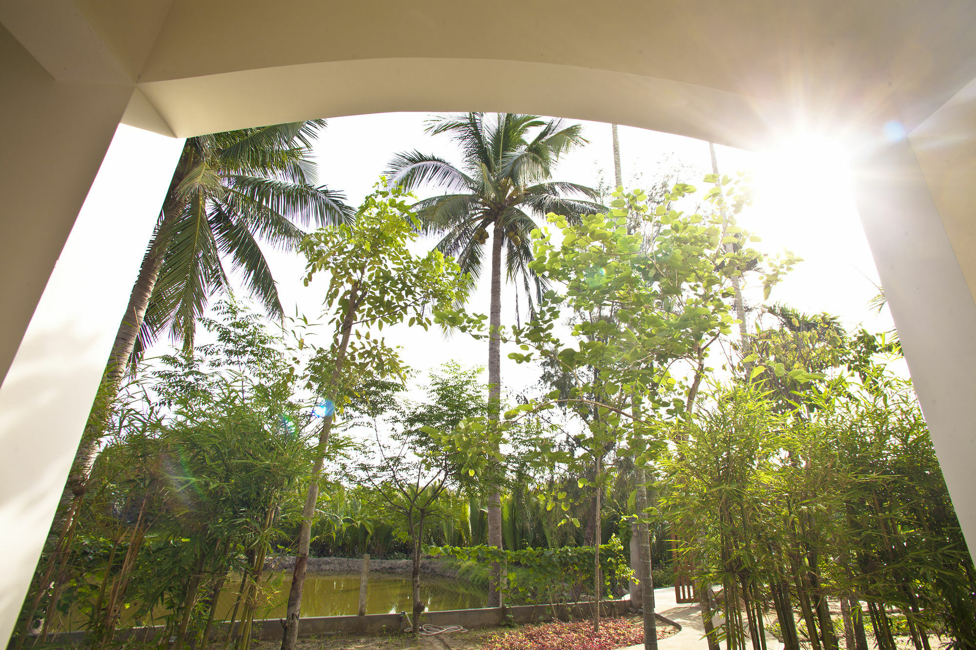 Palm View Villa Хой Ан Екстериор снимка